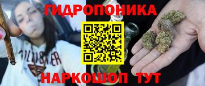 индика Тверь