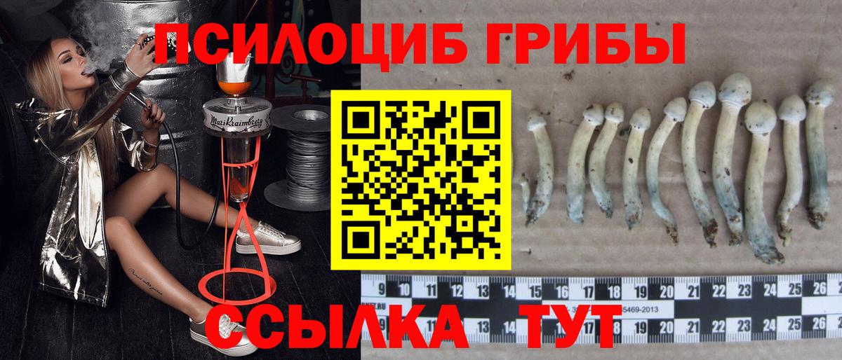 Псилоцибиновые грибы GOLDEN TEACHER  цены   Пыть-Ях  Вход с VPN  Псилоцибиновые грибы GOLDEN TEACHER 