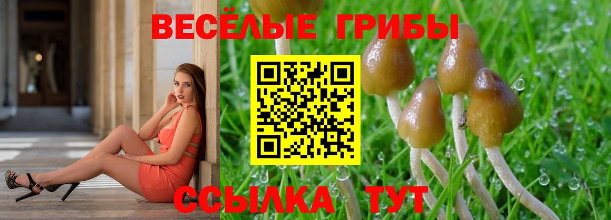 Галлюциногенные грибы GOLDEN TEACHER Пыть-Ях